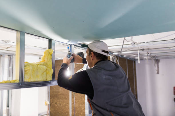 Best Energy Efficiency Insulation in Pelham, GA
