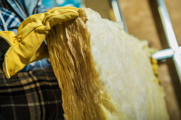 Best Blown-in Insulation in Pelham, GA