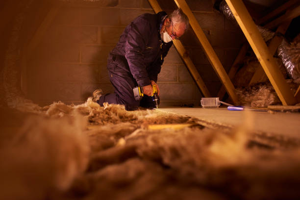 Types of Insulation We Offer in Pelham, GA